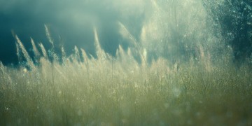 听许巍的歌究竟能感触到什么?