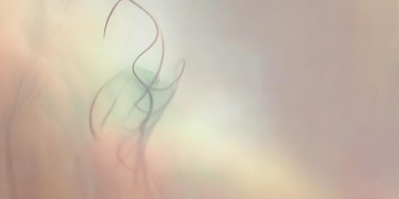 因为你不想分离出自哪首歌?