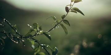 回到你身旁这句歌词出自哪首歌？