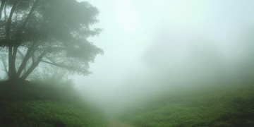 在迷雾里寻找方向究竟是哪首歌？