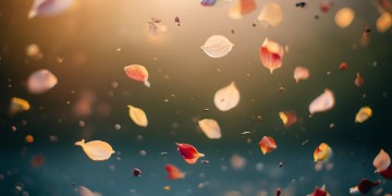带走我的……的这首歌究竟叫什么？