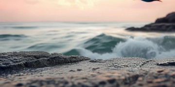 像一只海鸟究竟出自哪首歌?