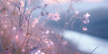 恩恩怨怨得到善果究竟是哪首歌？
