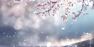 无人关与谁何干出自哪首歌？