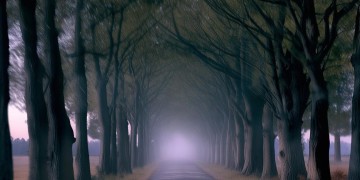 路上拍下诡异一幕到底是哪首歌？