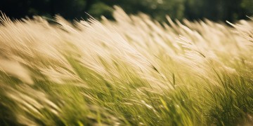 风风风歌词出自哪首歌？