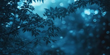 等到月亮把心柔碎出自哪首歌？