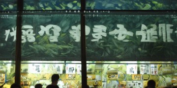 美丽的鸿雁东南飞出自哪首歌？