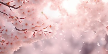 你来你并非我愿意出自哪首歌？