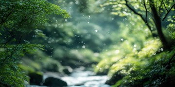 我总是追追呀追到底是哪首歌？