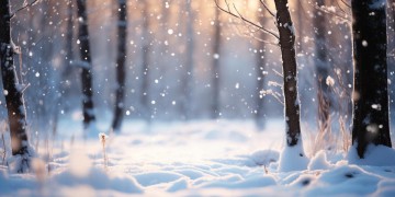 千里的雪出自哪首歌？