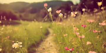 我走到哪里都想你是哪首歌?