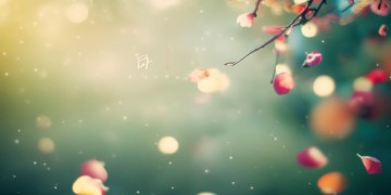 我爱你处处不经意究竟是哪首歌？