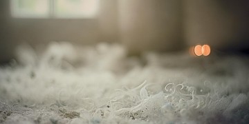 没有爱情的动力了究竟是哪首歌？