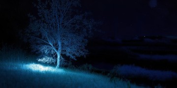 在黑夜中自愈究竟是哪首歌？