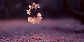 爱情的结局是别离究竟是哪首歌?