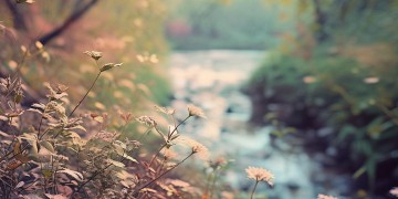 哪首歌里有我们还是朋友？