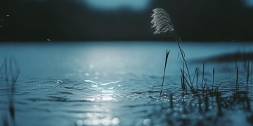 想变成圆圆的月亮究竟是哪首歌？