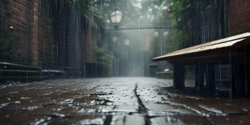 时间煮雨里究竟有什么歌？