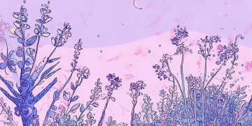 好都有度是什么儿童英文歌呢？