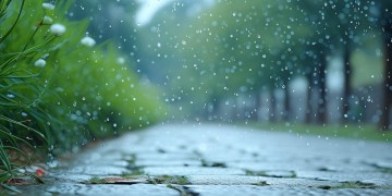 春雨淅淅沥沥出自哪首歌？