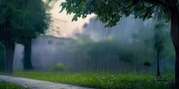 下了雨的清晨傍晚究竟出自哪首歌？