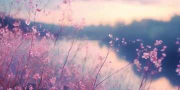 阿佳噜啊佳野究竟是哪首歌？