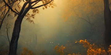 那首叫什么什么风的歌究竟是什么?