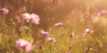 爱与的季节究竟是哪首歌？