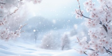 春风素雪多年出自哪首歌？