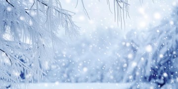 你如雪一样美到底是哪首歌？