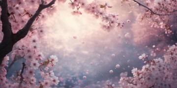 相思美梦里究竟出自哪首歌？