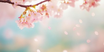 从此我们没有以后出自哪首歌？