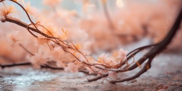 好好的珍惜出自哪首歌?