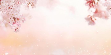 我也愿意为你疯狂究竟是哪首歌？