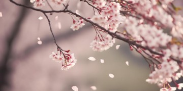 你疏远了距离到底是哪首歌？