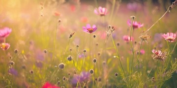 始终保持这份热爱出自哪首歌？