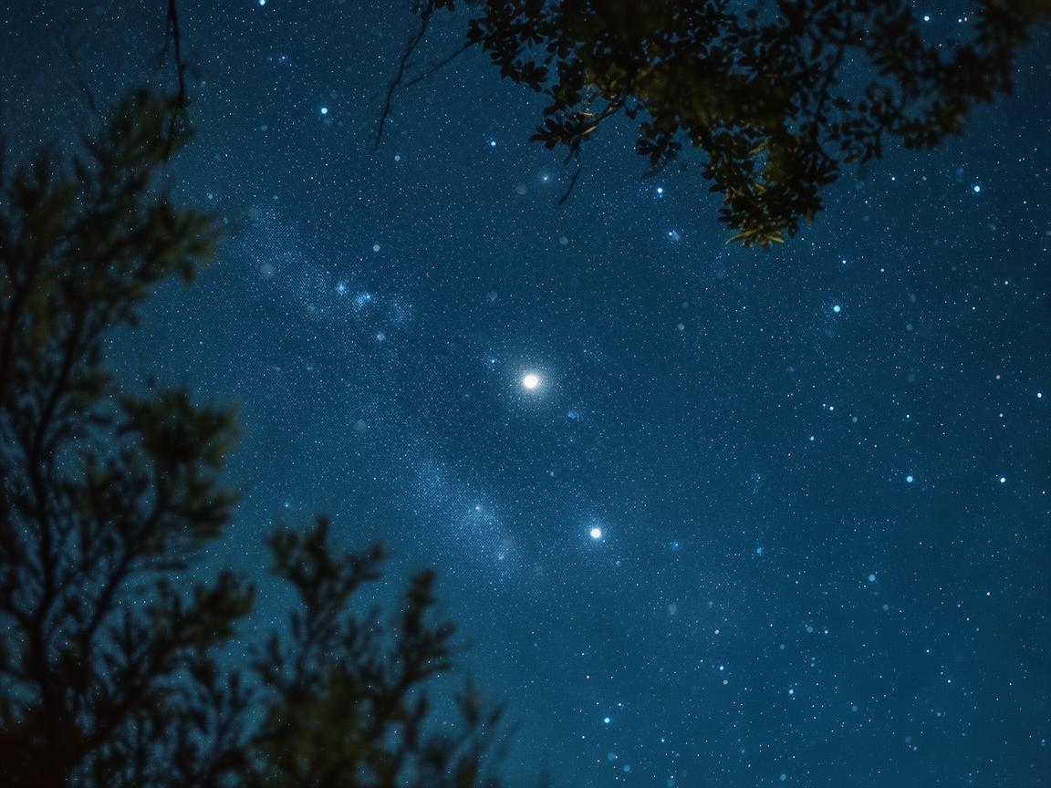 仰望你仰望的星空究竟是哪首歌？