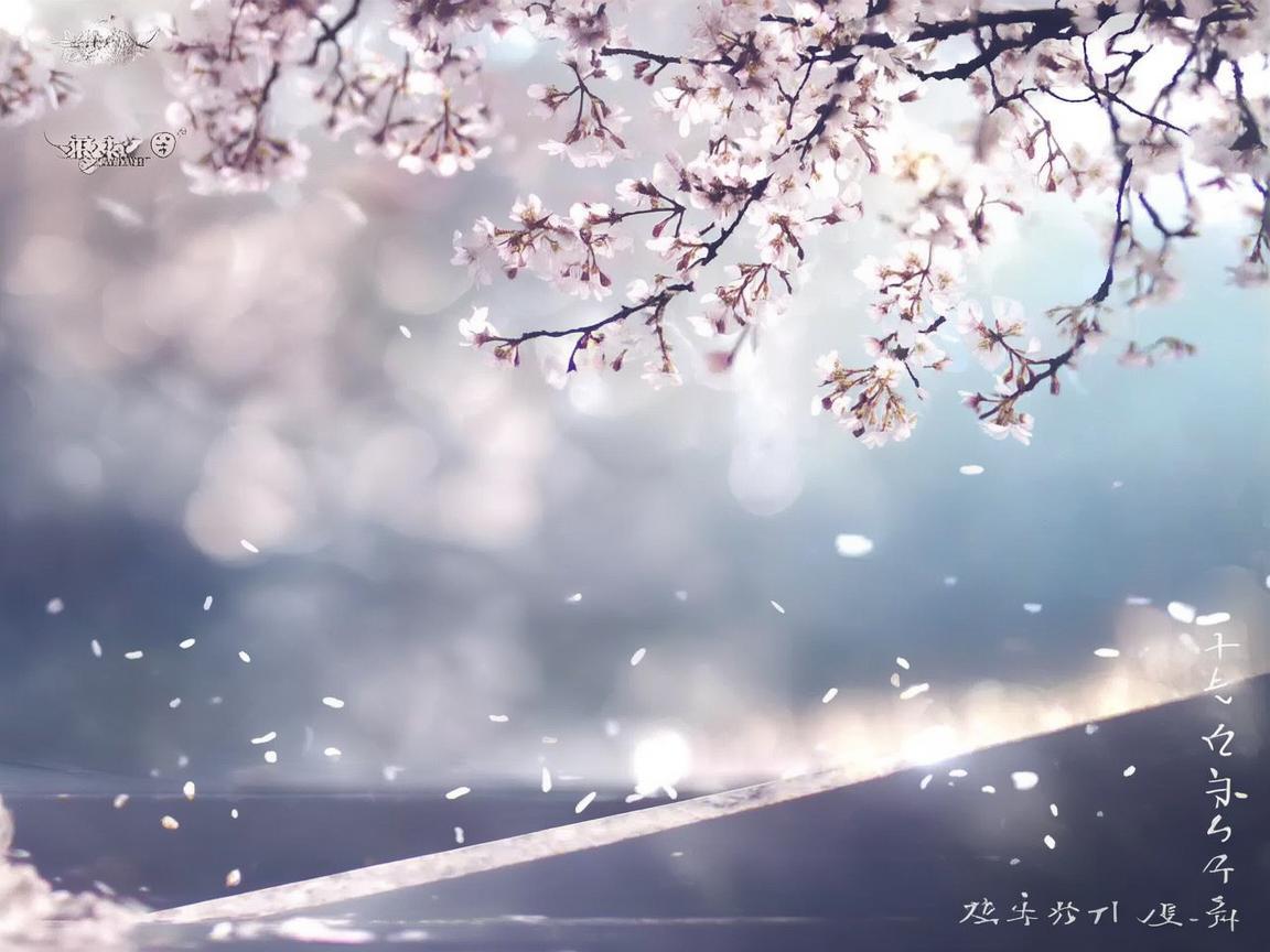 无人关与谁何干出自哪首歌？