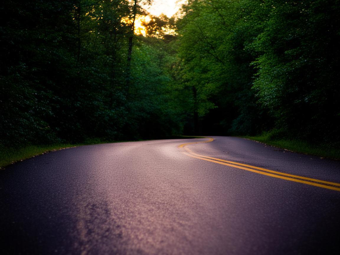 你回家的路顺畅吗是哪首歌？