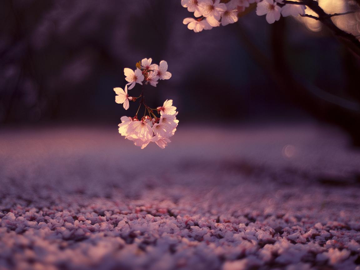 爱情的结局是别离究竟是哪首歌? 爱情的结局是别离究竟是哪首歌?